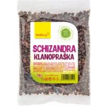 Wolfberry Schizandra plod Klanopraška 50 g – Zboží Dáma