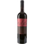 Bosco Primitivo del Salento "PINDARO" IGT 2021 13,5% 0,75 l (holá láhev) – Hledejceny.cz