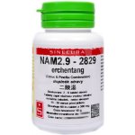 Sinecura NAM2.9 erchentang 60 tablet – Hledejceny.cz