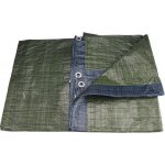 Extol Craft plachta PE nepromokavá standard 10x15m – Zbozi.Blesk.cz