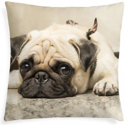 Xpose Buldoček 2 40 x 40 cm – Sleviste.cz