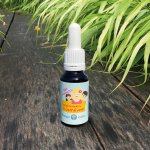 Bachovy esence Noví kamarádi směs 20 ml – Hledejceny.cz