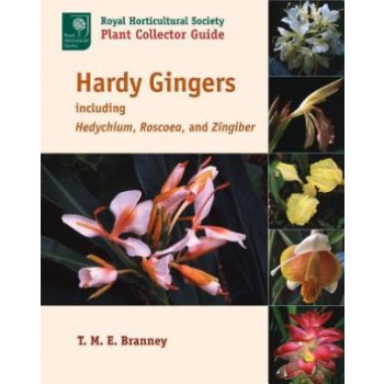 Hardy Gingers, Including Hedychium, Roscoea, and Zingiber
