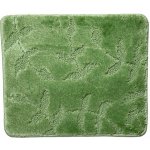 Polášek Holešov Selection 23 Zelená 60x50 cm – Hledejceny.cz