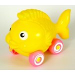 Směr Ryba na kolečkách – Zboží Dáma