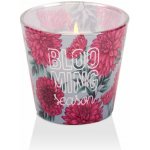 Bartek Candles Blooming Season Rose 115 g – Zboží Dáma