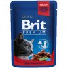 Brit Premium by Nature s hovězím a hráškem 100 g