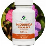 MedFuture Plicník lékařský 500 mg 60 kapslí – Hledejceny.cz