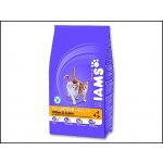 Iams Kitten & Junior All Breeds Chicken 2,6 kg – Sleviste.cz