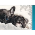 Pohlednice Štěňata 132 – Zboží Dáma