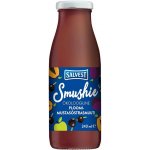 Salvest Ovocné smoothie s černým rybízem a švestkami 240 ml – Zboží Dáma