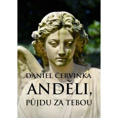 Anděli, půjdu za tebou - Daniel Červinka