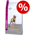 Eukanuba Labrador Retriever 12 kg – Zboží Dáma Eukanuba Labrador Retriever 12 kg – Zboží Dáma