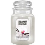 Country Candle Vanilla Orchid 680 g – Hledejceny.cz