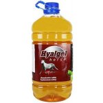 Hyalgel Horse jablko 5 l – Hledejceny.cz