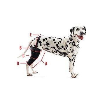 Kruuse top dog brace