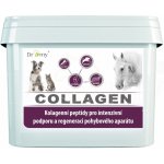 Dromy Collagen 2500 g – Zboží Mobilmania