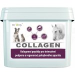 Dromy Collagen 2500 g – Zboží Dáma