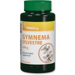 Vitaking Gymnema Sylvestre Gurmar 400 mg 90 tablet – Hledejceny.cz