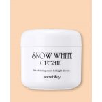 Secret Key Snow White zesvětlující krém pro rozjasnění pleti 50 g – Zboží Dáma