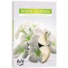 Svíčka Bispol Aura White Flowers 6 ks