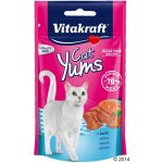 Vitakraft Cat Yums pamlsky Jitrnice 40 g – Hledejceny.cz