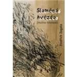 Slaměná hvězda hlušina notebook - Jindřich Zogata – Hledejceny.cz