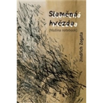 Slaměná hvězda hlušina notebook - Jindřich Zogata