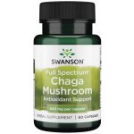 Swanson Chaga Mushroom 60 kapslí – Hledejceny.cz