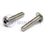 Šr. s PH imbus ISO 7380FL M5x60 A2 - s límcem - Balení 100 ks – Hledejceny.cz