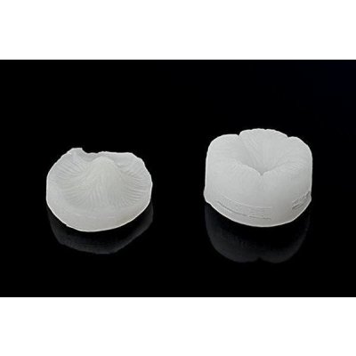 Žilkovač list Foglia 65x40mm - Silikomart – Hledejceny.cz