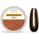 Starnails Nail Art zdobení pigment P001 – Zboží Mobilmania