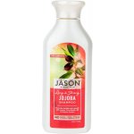 Jason šampon Jojoba 473 ml – Zboží Mobilmania