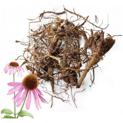 Aniland Echinacea kořen 50 g – Sleviste.cz