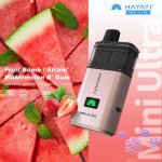 Hayati Mini Ultra Fruit Bomb Straw Watermelon B´ Gum 20 mg 1500 potáhnutí – Zboží Mobilmania