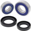 Ložisko do motoru pro motorku One way clutch bearing kit All Balls Racing 25-1716-NP