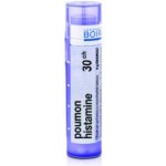 POUMON HISTAMINE POR 30CH GRA 4G – Hledejceny.cz