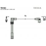 TESLA Zapalovací kabely original TE T818C – Hledejceny.cz