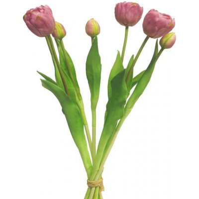 Tulipán - svazek 7x fialový (mauve) V44 cm