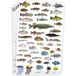 Samolepky ryby 300ks – Zboží Dáma