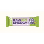 Bombus RAW energy 20x50 g – Zbozi.Blesk.cz