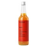 Sirupárna Domácí Dýňový Sirup 0,5 l – Zboží Dáma