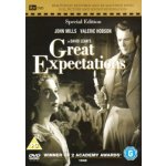 Great Expectations DVD – Hledejceny.cz