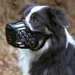 Trixie Plastový náhubek L- XL 35cm – Hledejceny.cz