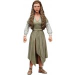 Hasbro Star Wars Episode VI 2022 Princess Leia Ewok Village Black Series – Hledejceny.cz