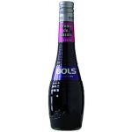 Bols Creme de Cassis 17% 0,7 l (holá láhev) – Hledejceny.cz