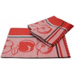 HOME ELEMENTS Jablíčka 50 x 70 cm 3 ks – Zboží Dáma