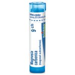 MAGNESIA CARBONICA POR 9CH GRA 4G – Hledejceny.cz