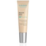 Dr.Schrammek Blemish Balm Honey 15 ml – Hledejceny.cz