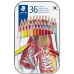 Staedtler 36 barev 4007817048306 – Sleviste.cz